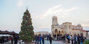 Beitragsbild des Blogbeitrags I went to Jordan to see their Christmas Tree