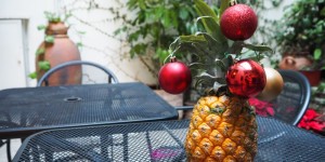 Beitragsbild des Blogbeitrags About spending Christmas in Mexico (again)