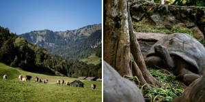 Beitragsbild des Blogbeitrags Unleash your wanderlust: Where to go in 2023