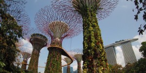 Beitragsbild des Blogbeitrags How much are 3 days in Singapore incl. Gardens by the Bay & Hiking 