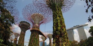Beitragsbild des Blogbeitrags How much are 3 days in Singapore incl. Gardens by the Bay & Hiking