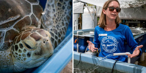 Beitragsbild des Blogbeitrags 5 sustainable initiatives in the Florida Keys worth experiencing