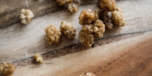Beitragsbild des Blogbeitrags Maulbeeren Beauty-Superfood