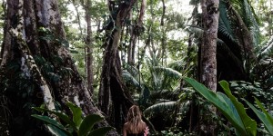 Beitragsbild des Blogbeitrags Die Karibik Costa Ricas