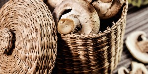 Beitragsbild des Blogbeitrags Vitamin ABC – Vitamin D