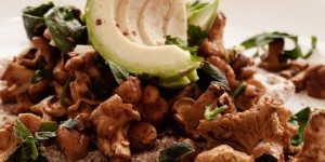 Beitragsbild des Blogbeitrags 5 einfache und vegane Pilzrezepte