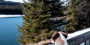 Beitragsbild des Blogbeitrags Wanderung um den Soboth Stausee