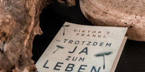 Beitragsbild des Blogbeitrags Buchtipp: Trotzdem Ja zum Leben sagen