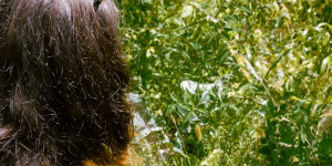 Beitragsbild des Blogbeitrags Permakulturgarten von Viktoria und Tobi 
