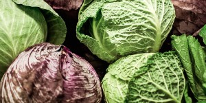 Beitragsbild des Blogbeitrags Vitamin ABC – Vitamin B5