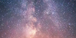 Beitragsbild des Blogbeitrags Toxisches Verhalten