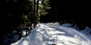 Beitragsbild des Blogbeitrags Von der Schirchleralm zur Brendlhütte 