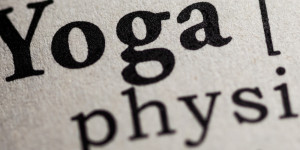 Beitragsbild des Blogbeitrags Welche Formen von Asanas gibt es?