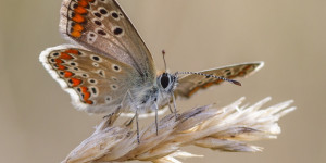 Beitragsbild des Blogbeitrags Im Wandel leben