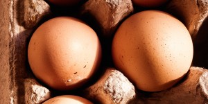 Beitragsbild des Blogbeitrags Vitamin ABC – Vitamin B12