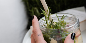 Beitragsbild des Blogbeitrags Zitrone Rhabarber Holunder-Drink
