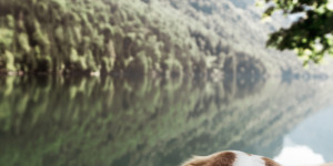 Beitragsbild des Blogbeitrags Die 5 schönsten Seen in der Steiermark