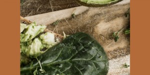 Beitragsbild des Blogbeitrags Glykämische Last – Was soll das sein? 