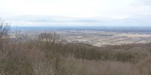 Beitragsbild des Blogbeitrags Mauerbach und Umgebung und ein Restauranttipp