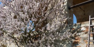 Beitragsbild des Blogbeitrags Sonntagsausflug auf die Rosenburg im Kamptal zum Ostermarkt 