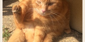 Beitragsbild des Blogbeitrags Alltagskomik die 28. Suchwörter zum Blog im März 