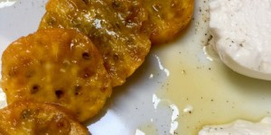 Beitragsbild des Blogbeitrags Kaktusfeige – Ricotta – Mango Balsam 