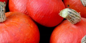 Beitragsbild des Blogbeitrags Obers trifft Sahne: Herbstliche Kürbistörtchen mit Weintrauben