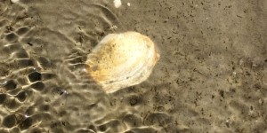 Beitragsbild des Blogbeitrags Deutschlands einzige Hochseeinsel – Verliebt in Helgoland!