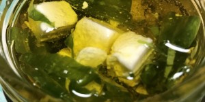 Beitragsbild des Blogbeitrags Bärlauchliebe: Ziegenfeta in Olivenöl und Bärlauch