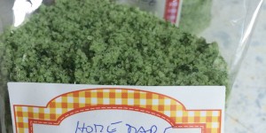 Beitragsbild des Blogbeitrags #Montagsschweinerei: Kotelett mit Backofengemüse und selbstgemachtem Bärlauch Salz 
