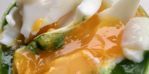 Beitragsbild des Blogbeitrags Bärlauchliebe: Bärlauchcreme mit weichem Ei