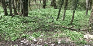 Beitragsbild des Blogbeitrags Natur pur: Nacionalni park Plitvička jezera in Kroatien 