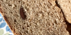 Beitragsbild des Blogbeitrags Topfbrot: Olivenbrot mit Dinkelvollkornmehl