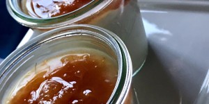Beitragsbild des Blogbeitrags Sommerliches, leichtes Dessert:  Joghurtcreme mit Marillenröster 