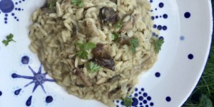 Beitragsbild des Blogbeitrags Steinpilzrisotto – Rezept mit getrockneten Steinpilzen 