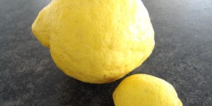 Beitragsbild des Blogbeitrags 60. Gastbeitrag: Selbstgemachtes Zitronat und Orangeat 
