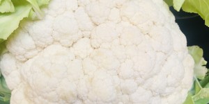 Beitragsbild des Blogbeitrags Vegetarisches Rezept für Karfiol mit Brösel, Käse und Knoblauch