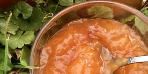 Beitragsbild des Blogbeitrags Rezept für fruchtige Pfirsich – Muskatkürbis Marmelade 