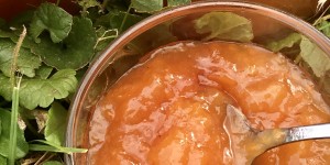 Beitragsbild des Blogbeitrags Rezept für fruchtige Pfirsich – Muskatkürbis Marmelade 