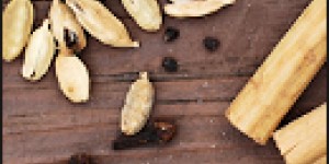 Beitragsbild des Blogbeitrags Wildschwein mit Zimt und Orange