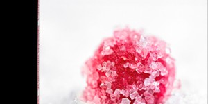Beitragsbild des Blogbeitrags Rezension und eine Überraschung für Euch: Vielfalt geniessen – Das Kochbuch der österreichischen Biosphärenparks!