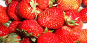 Beitragsbild des Blogbeitrags Alltagskomik, die 30. Suchwörter zur giftigenblonden, Mai/Juni 2015 