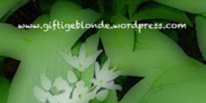 Beitragsbild des Blogbeitrags Labneh mit Bärlauchpesto