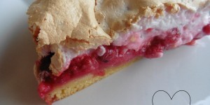 Beitragsbild des Blogbeitrags Ribiselschaumkuchen mit Zitrone (Johannisbeeren)