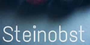 Beitragsbild des Blogbeitrags Ganz was Anderes einmal: Zwetschkenkompott mit Bio Veltliner Balsamico