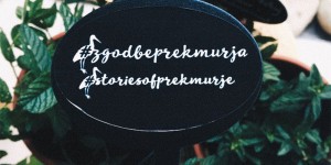 Beitragsbild des Blogbeitrags Kurztrip ins Hotel Livada Prestige in Slowenien