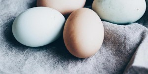 Beitragsbild des Blogbeitrags 7 Dinge, mit denen Ostern noch schöner wird!