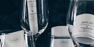 Beitragsbild des Blogbeitrags Hautpflege-Tipps: straff, elastisch und streichelzart mit Ziegenmilch!