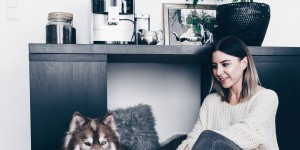 Beitragsbild des Blogbeitrags Wildborn Hundefutter Erfahrungen von Frenchie Mocca und Husky Teddy!