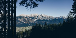 Beitragsbild des Blogbeitrags Wandern mit Hund in Tirol: Die Aldranser Alm! 